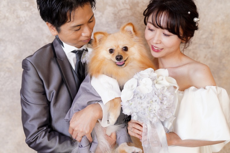 大切なペットちゃんとの撮影❣️
