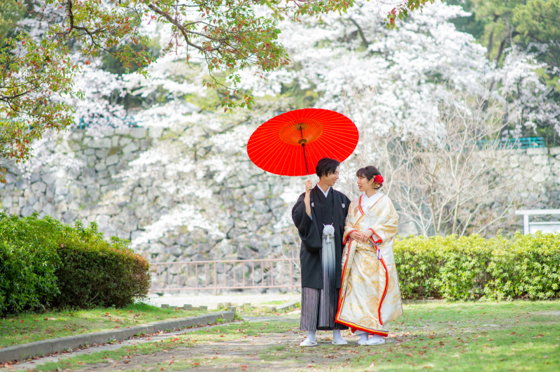 桜前撮り始まってます