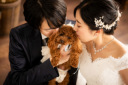 ペットウェディング