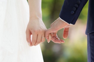 ランクアップなしのドレスがたくさん揃っています✨