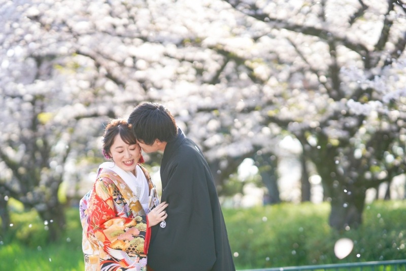 桜前撮り始まってます