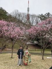 今、宇都宮も那須エリアも桜桜桜で最高です