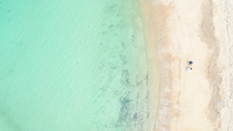 プランのご紹介！