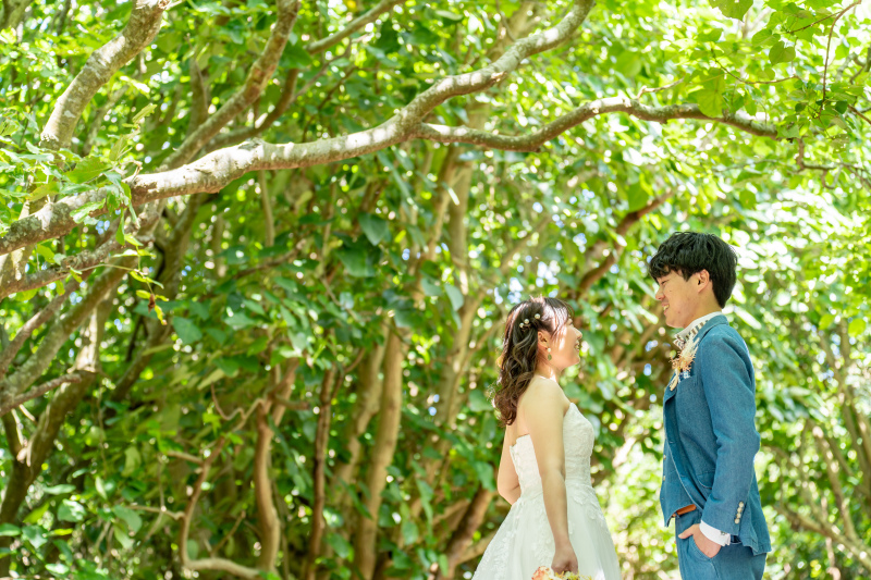 プランのご紹介!