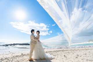 2026年　Happy Newyear!! 新年のご挨拶