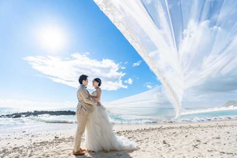 2026年 Happy Newyear!! 新年のご挨拶