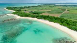 ヘアースタイル&ドレス