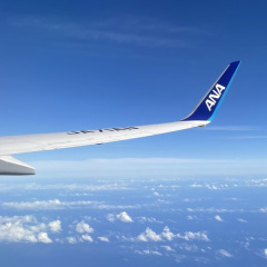 「沖縄県内の空港との間を結ぶ便の搭乗者を対象とした無料検査」についてご紹介