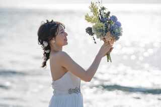 銀鱗のキラキラが美しい!そんな写真は何時撮れるの?