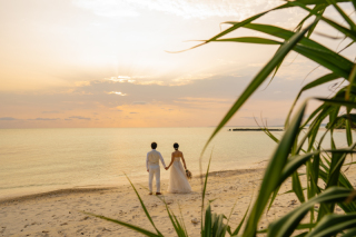 プランのご紹介*