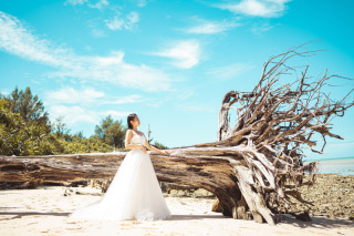 冬の撮影のメリットって？