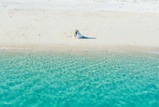 ベーシックプランのご案内です♪
