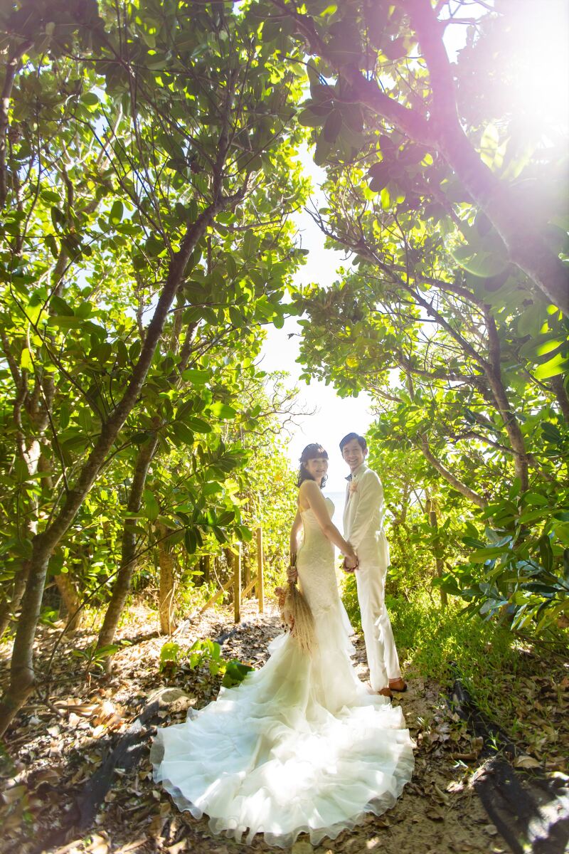 お客様からの声&素敵なフォトをご紹介