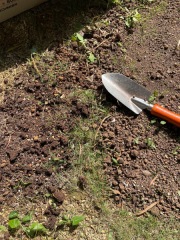 お土産かうなら♪