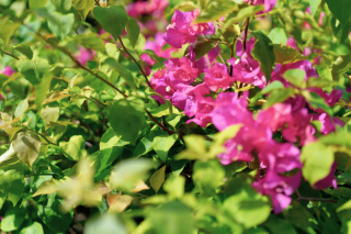 【方言講座】みーとぅんだ