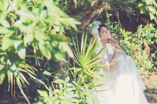 【残り10日間で終了】撮影日を問わない「特別プラン」の受付が残りわずかですよ!