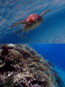 【宮古のスタイリストがご紹介する】10月の宮古島