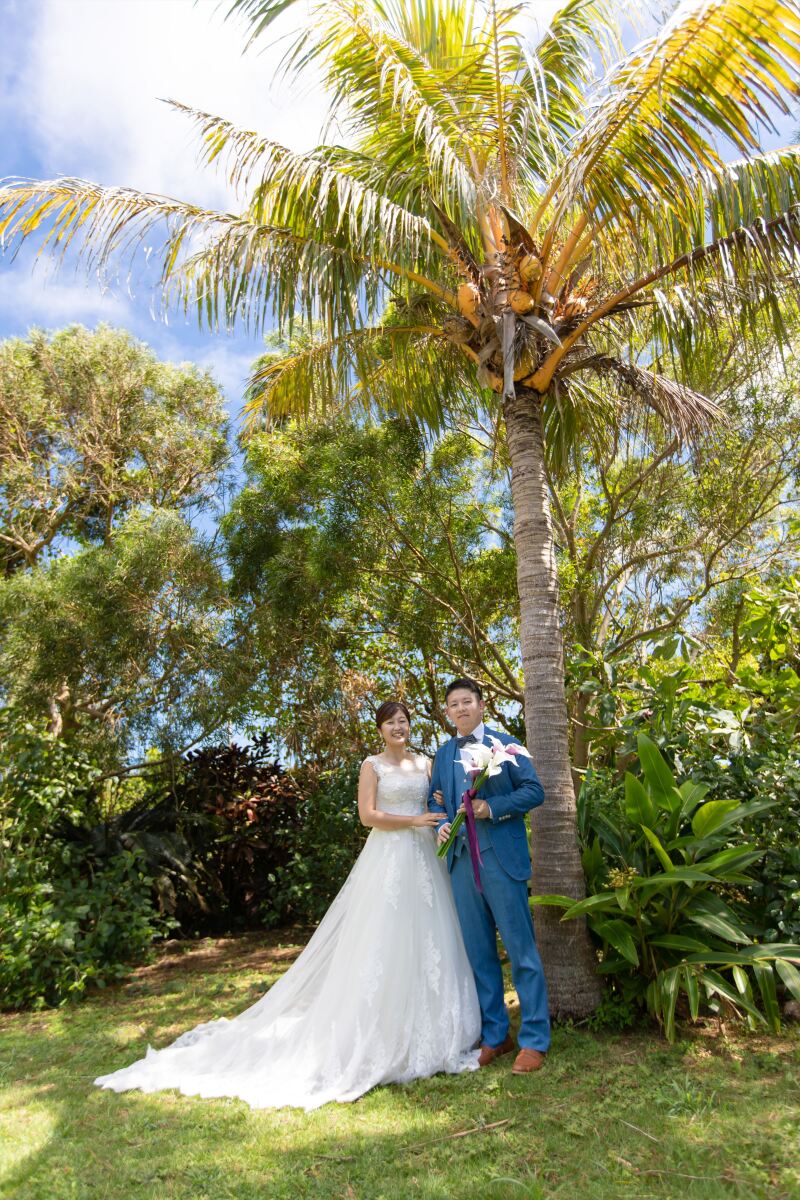 お客様からの声＆素敵なフォトをご紹介