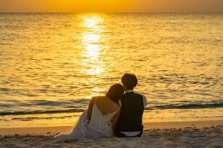 プランのご紹介＊