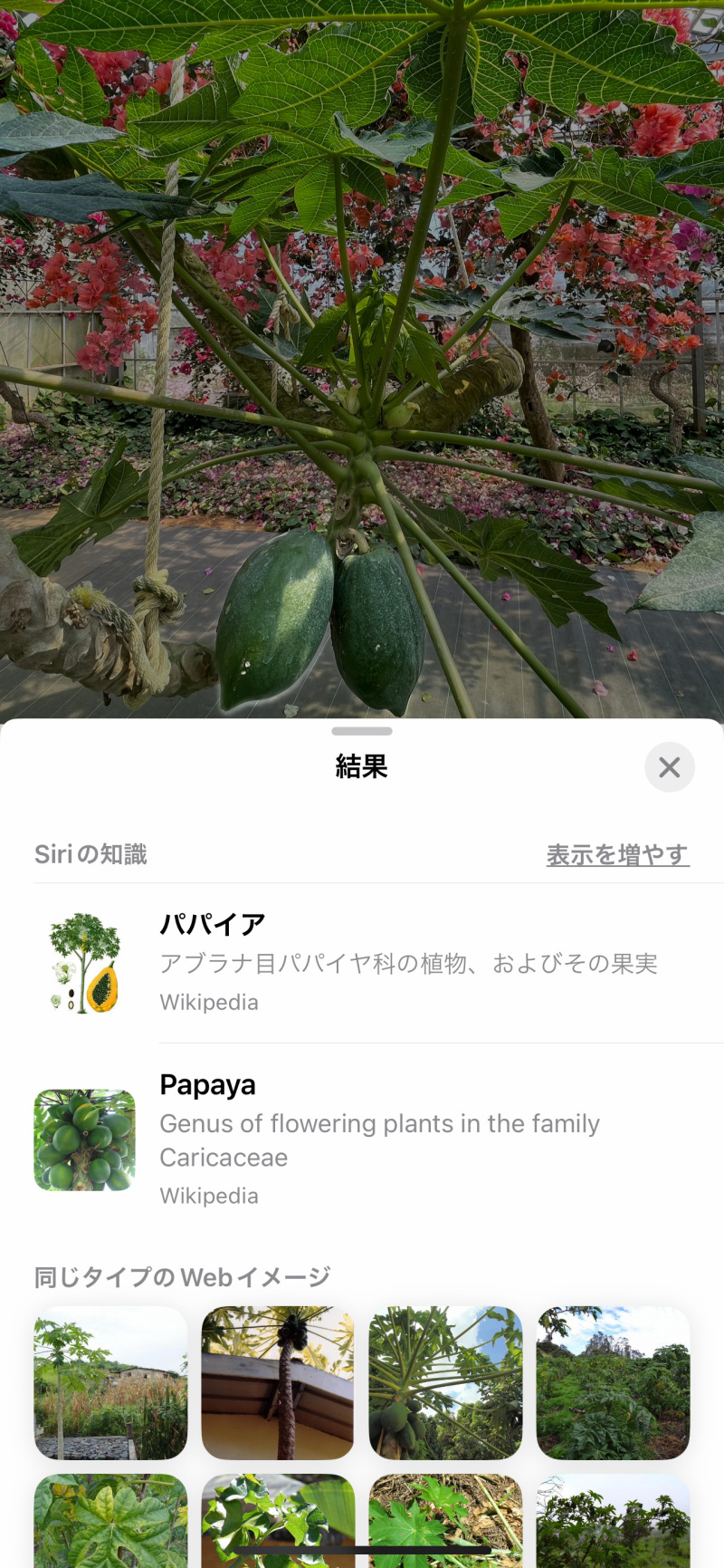 iPhoneの【なにそれ!】機能