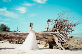 新プランのご紹介⑫