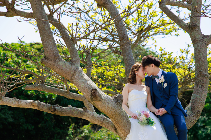 プランのご紹介！