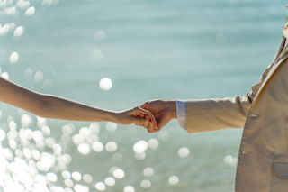 きらめく銀鱗のお写真のご紹介 その2