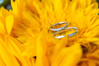 プロカメラマン撮影のリングフォトも最幸の記念に!【無料オプション】