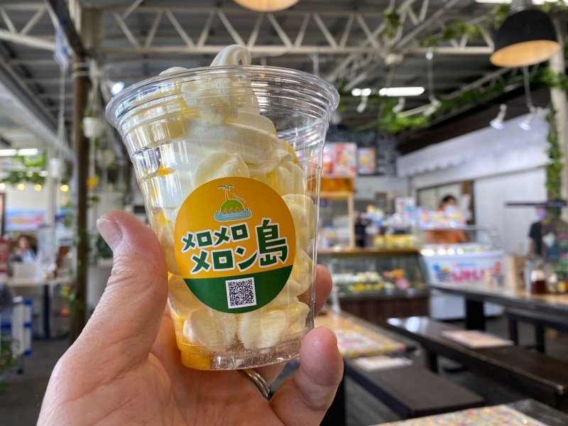 宮古出張レポート第二弾