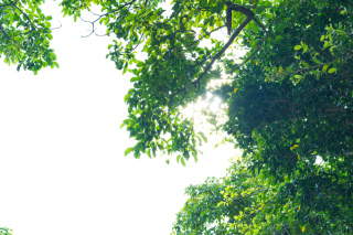 【方言講座】ちむどんどん