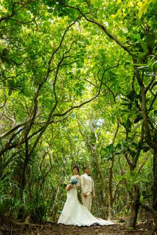 魅力は海だけじゃない宮古島