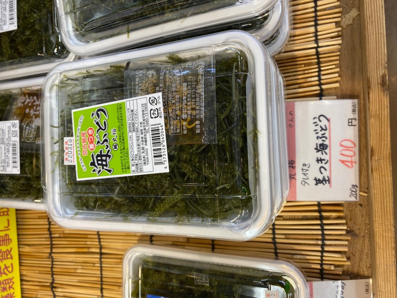 宮古出張レポート第二弾