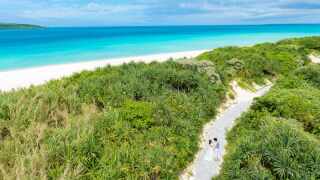 ヘアースタイル&ドレス