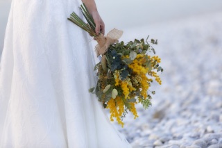 ミモザが大切な人に贈られる理由【ミモザの花言葉】