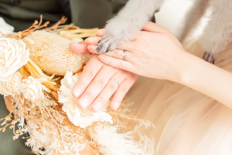 ペットと一緒に