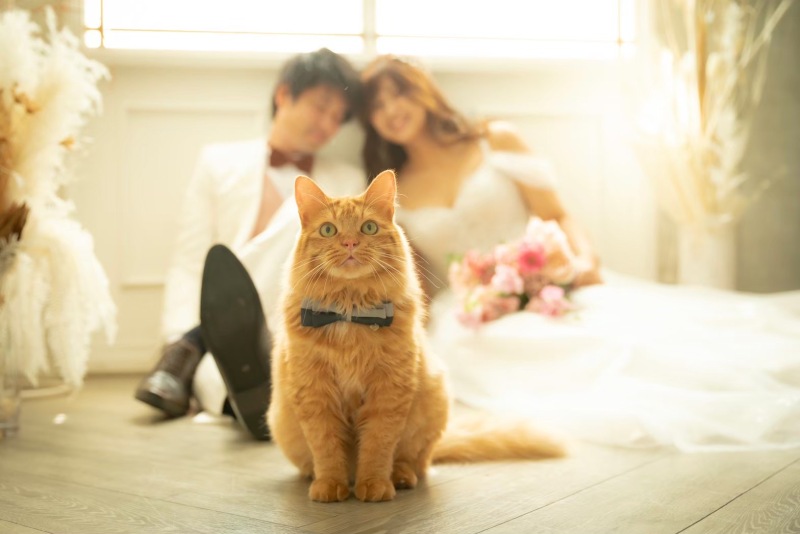 大切な家族と一緒に