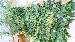 スタジオグリーン