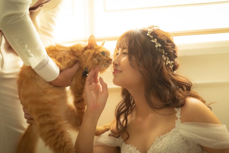 スタジオウィズペット