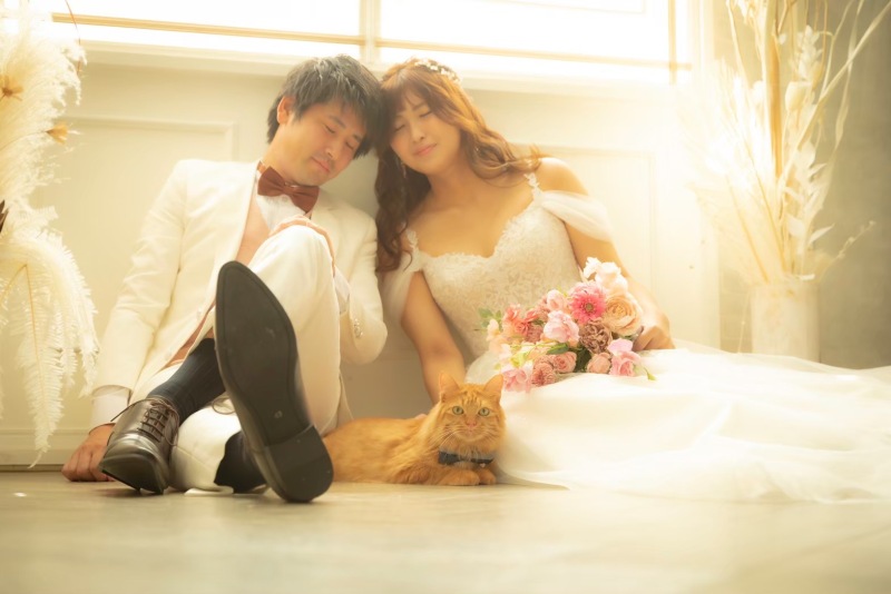 スタジオウィズペット