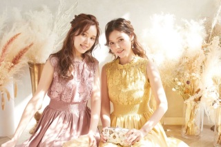 ネットレンタル