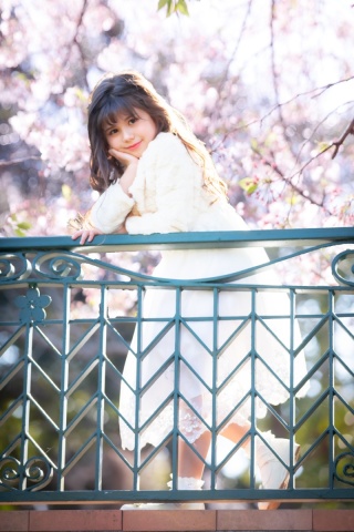 桜ロケーションフォト