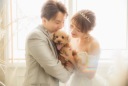 ペットとウェディングフォト