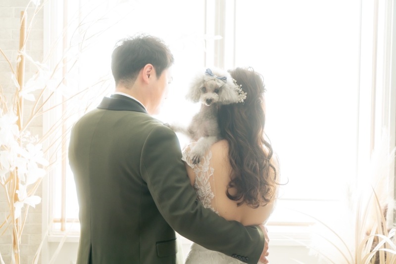 ペットと一緒に