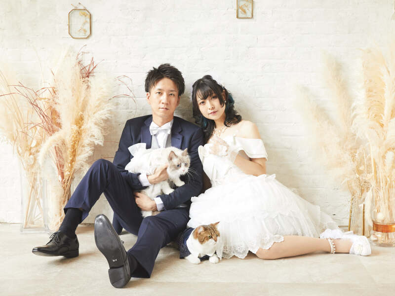 スタジオ撮影・猫ちゃんと一緒にウェディングフォト