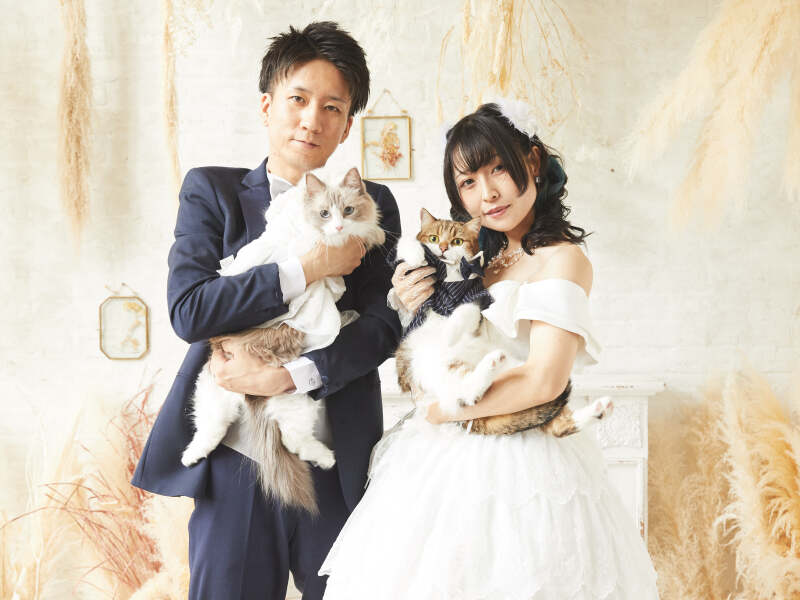 スタジオ撮影・猫ちゃんと一緒にウェディングフォト