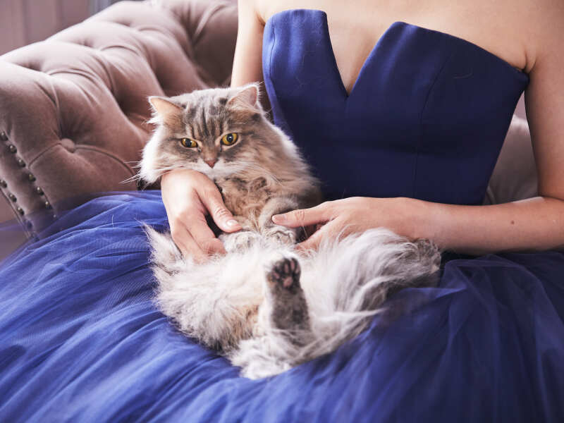 ヴェラウォンを着てペットフォト♪