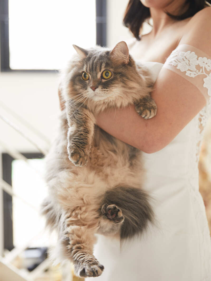 一緒に撮影した可愛いペットちゃんたち