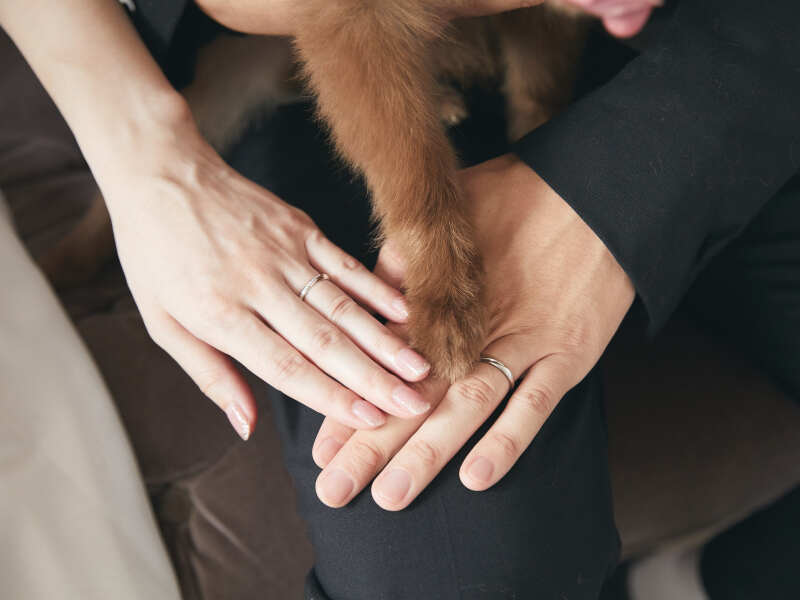 データ納品について