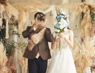 スタジオ ペットウェディングフォト