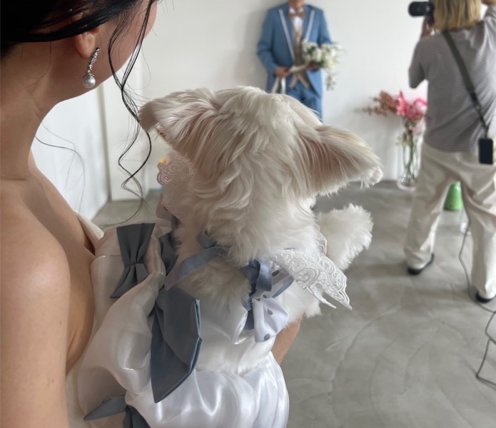 ペットと撮影スタジオフォト